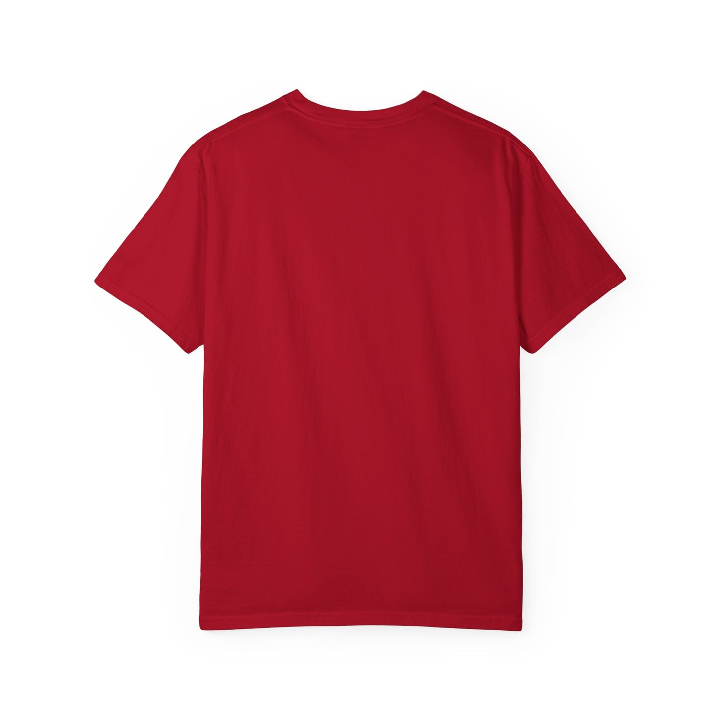 Reel Cool Dad Fishing T-Shirt